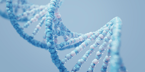 VACUUM SYSTEM-img-6-4